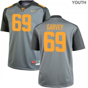 Brian Garvey Tennessee Volunteers For Kids Jersey Gray Limited Jersey
